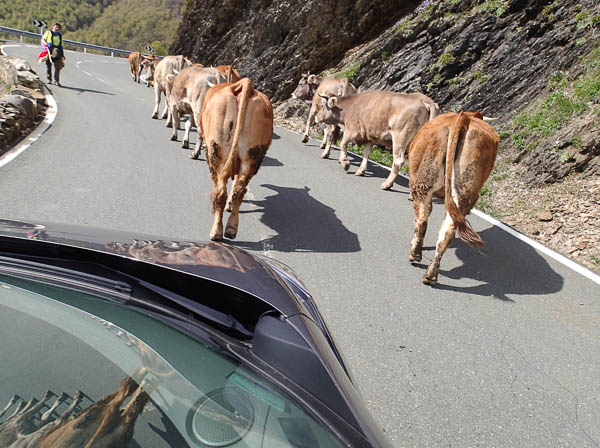 Spanish Road Obstructions